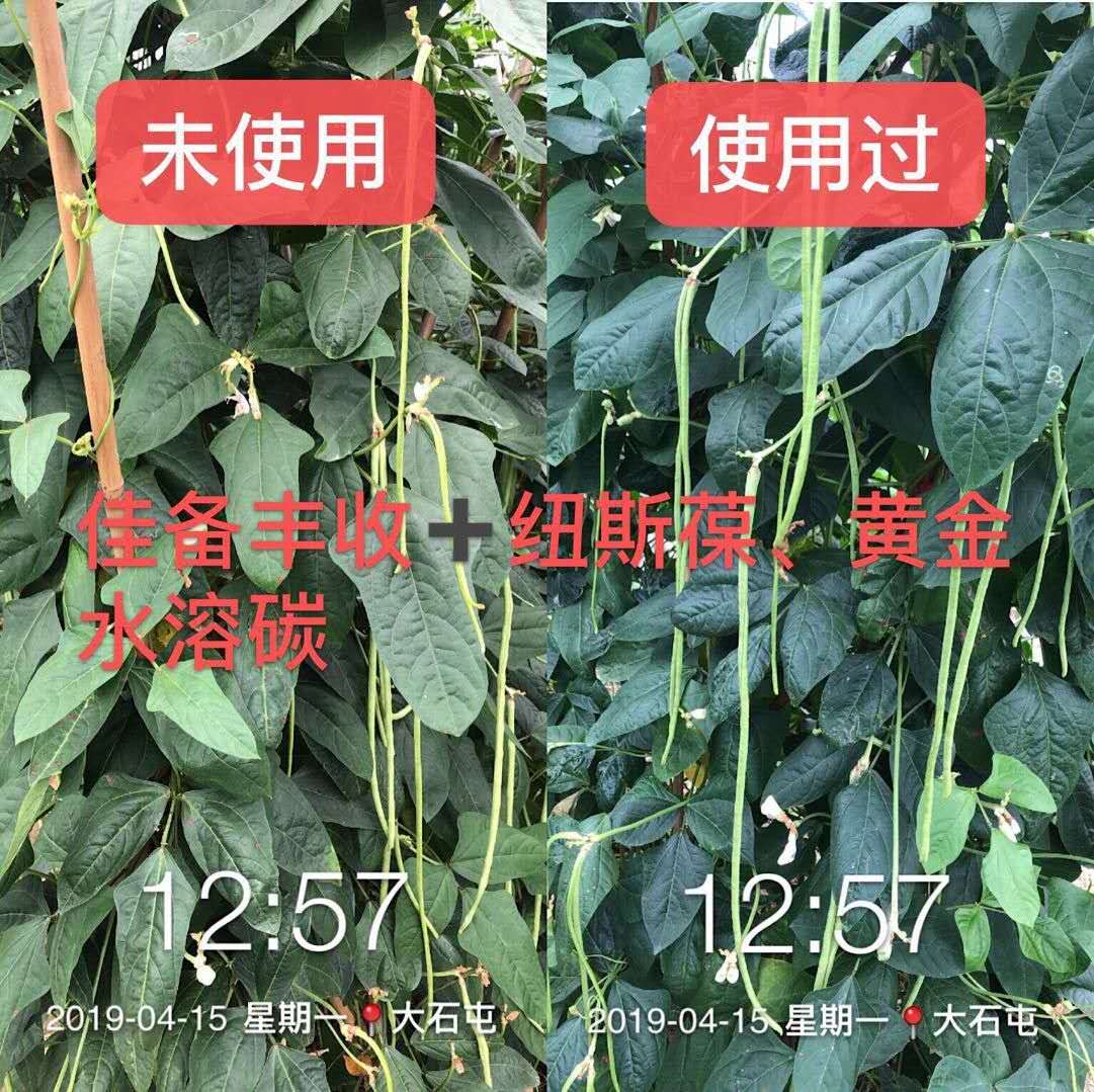 黃腐酸顆粒水溶肥